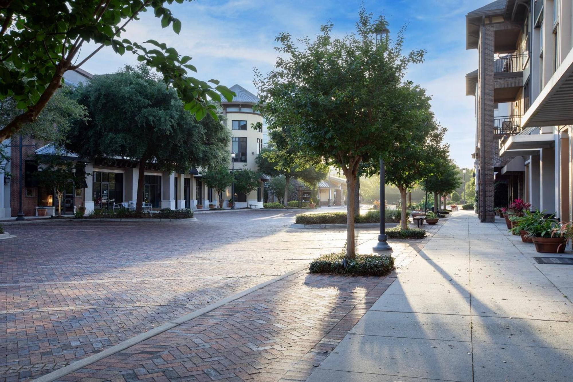 Hotel Indigo Jacksonville-Deerwood Park, an IHG Hotel Buitenkant foto